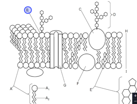 <p>C1*V1=C2*V2 (concentration swelling <strong>before</strong>*volume swelling <strong>before</strong>=concentration swelling <strong>after</strong>*volume swelling <strong>after</strong>)</p>