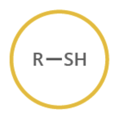 <ul><li><p>Sulfur based </p></li><li><p>Naming -thiol</p></li></ul><p></p>
