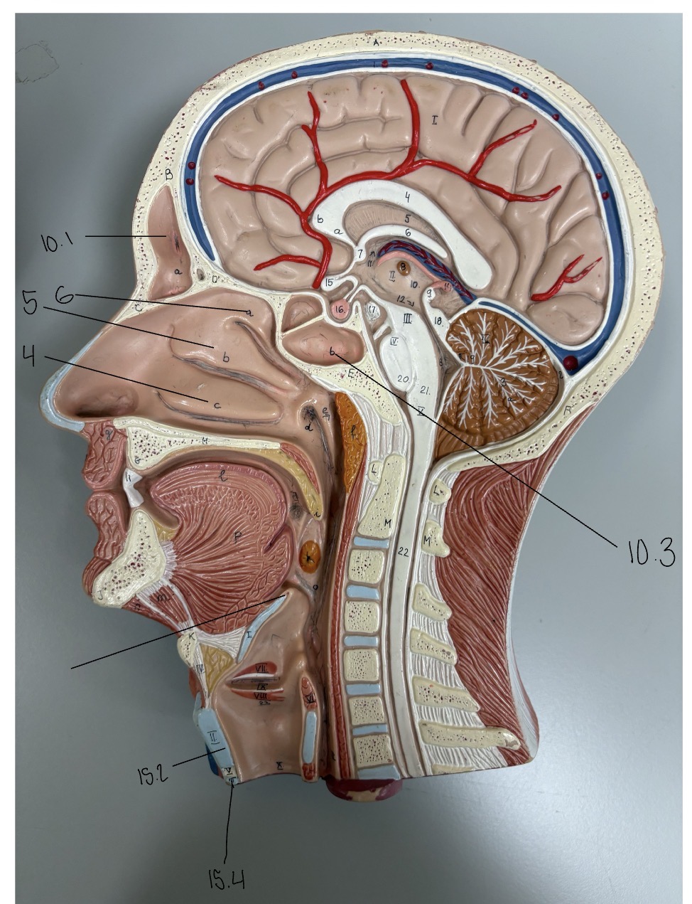 <p>15.4</p>