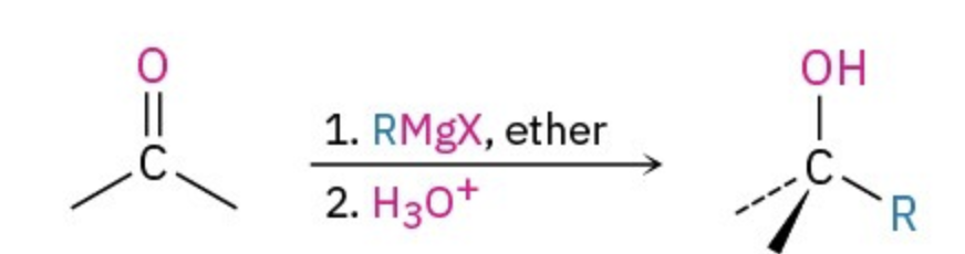 <ul><li><p>adds the R to reactant </p></li><li><p>makes the O into OH</p></li></ul><p></p>