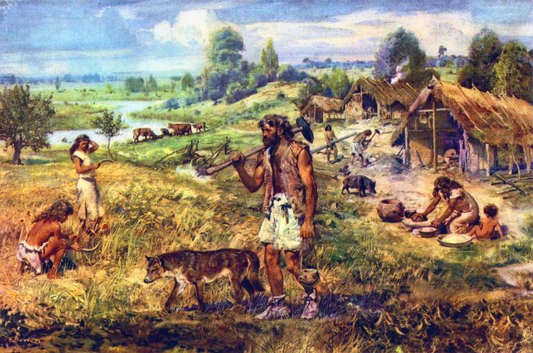 <p>Domestication</p>