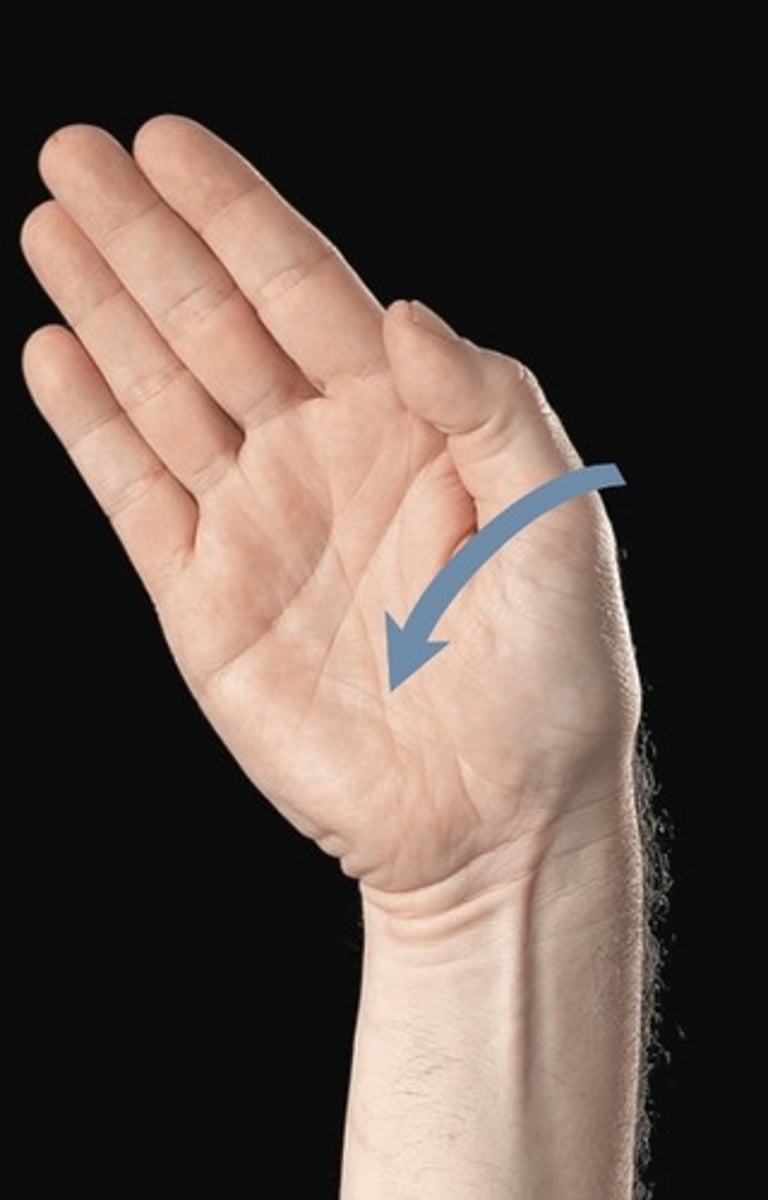 knowt flashcard image