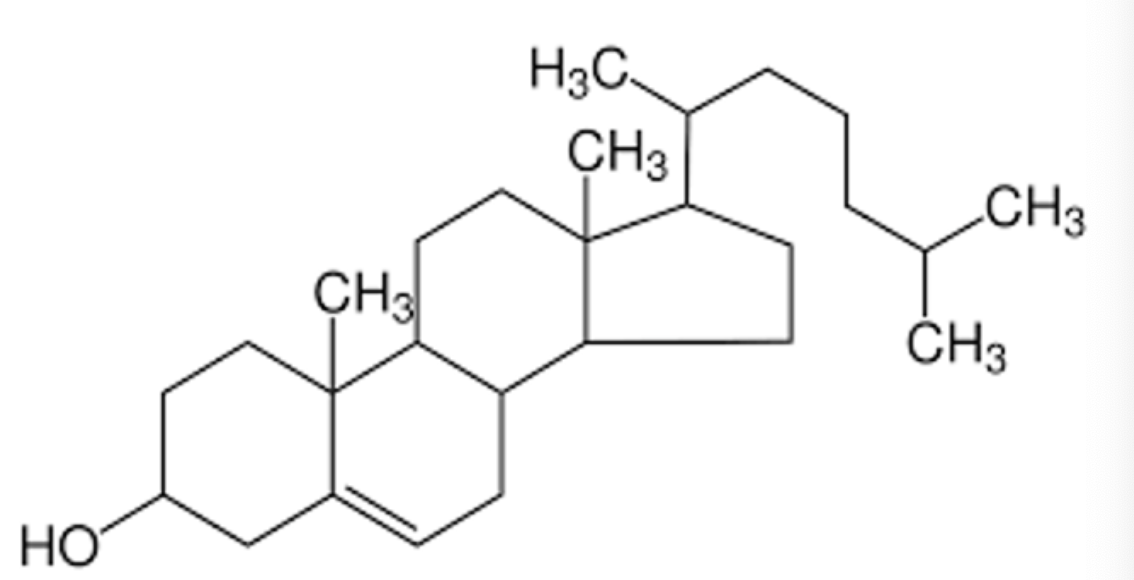 <p><span>For the lipid below, select all of the structural and functional classes to which it belongs:</span></p>
