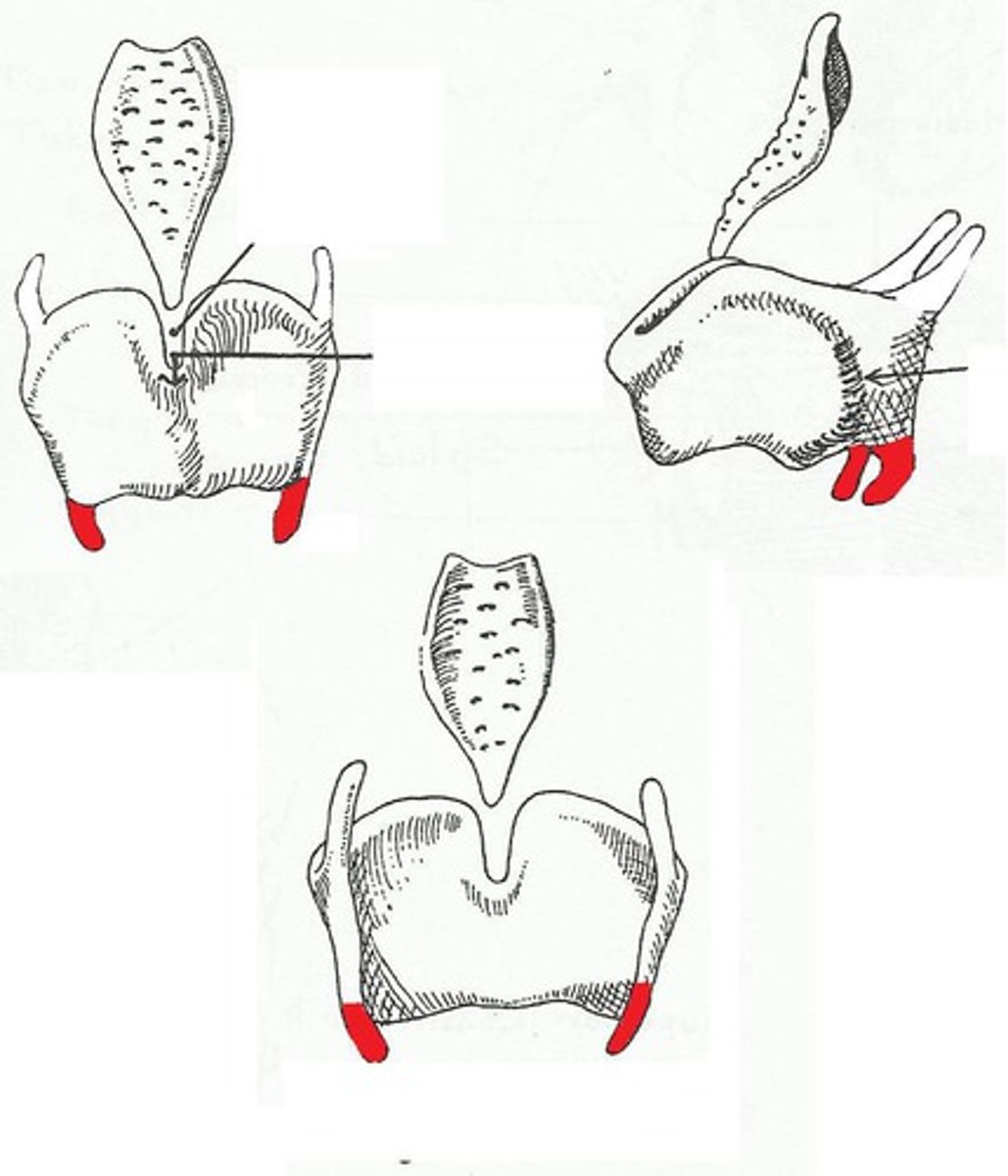 <p><em>identify the structure:</em></p>