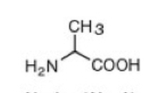 <p>Alanine (A)</p>