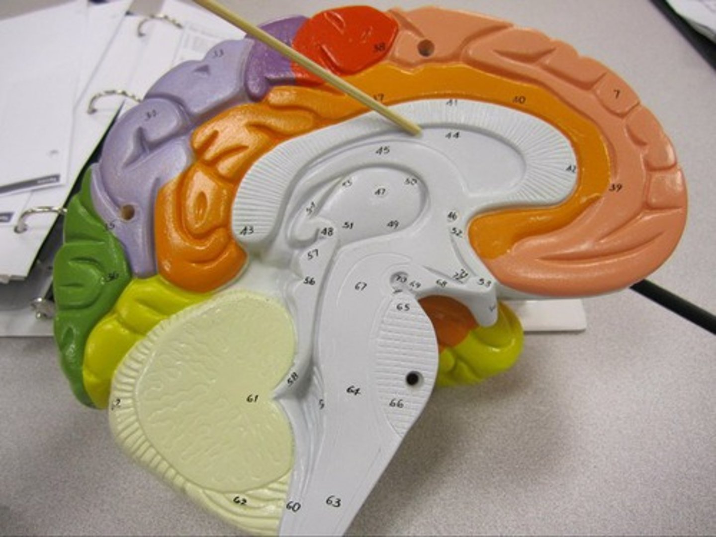 knowt flashcard image