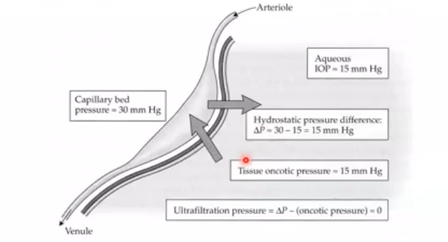 <p>ultrafilteration- pressure </p>