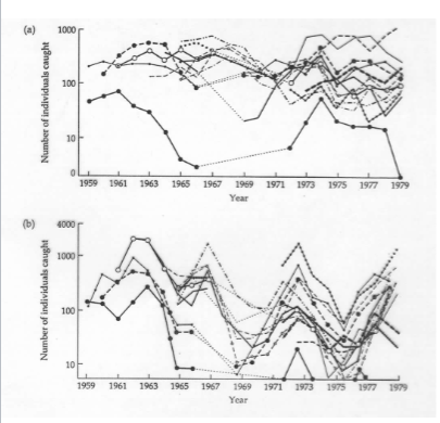 <p>For the beetle Pterostichus versicolor, the abundances vary asynchronously and there were no extinctions over the 21 years.</p><p>For the beetle, Calathus melanocephalus, populations varied somewhat synchronously, leading to occasional local extinctions.</p>