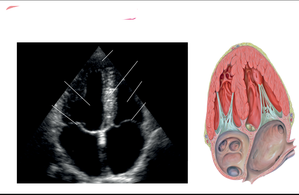 <p>What view is this </p>