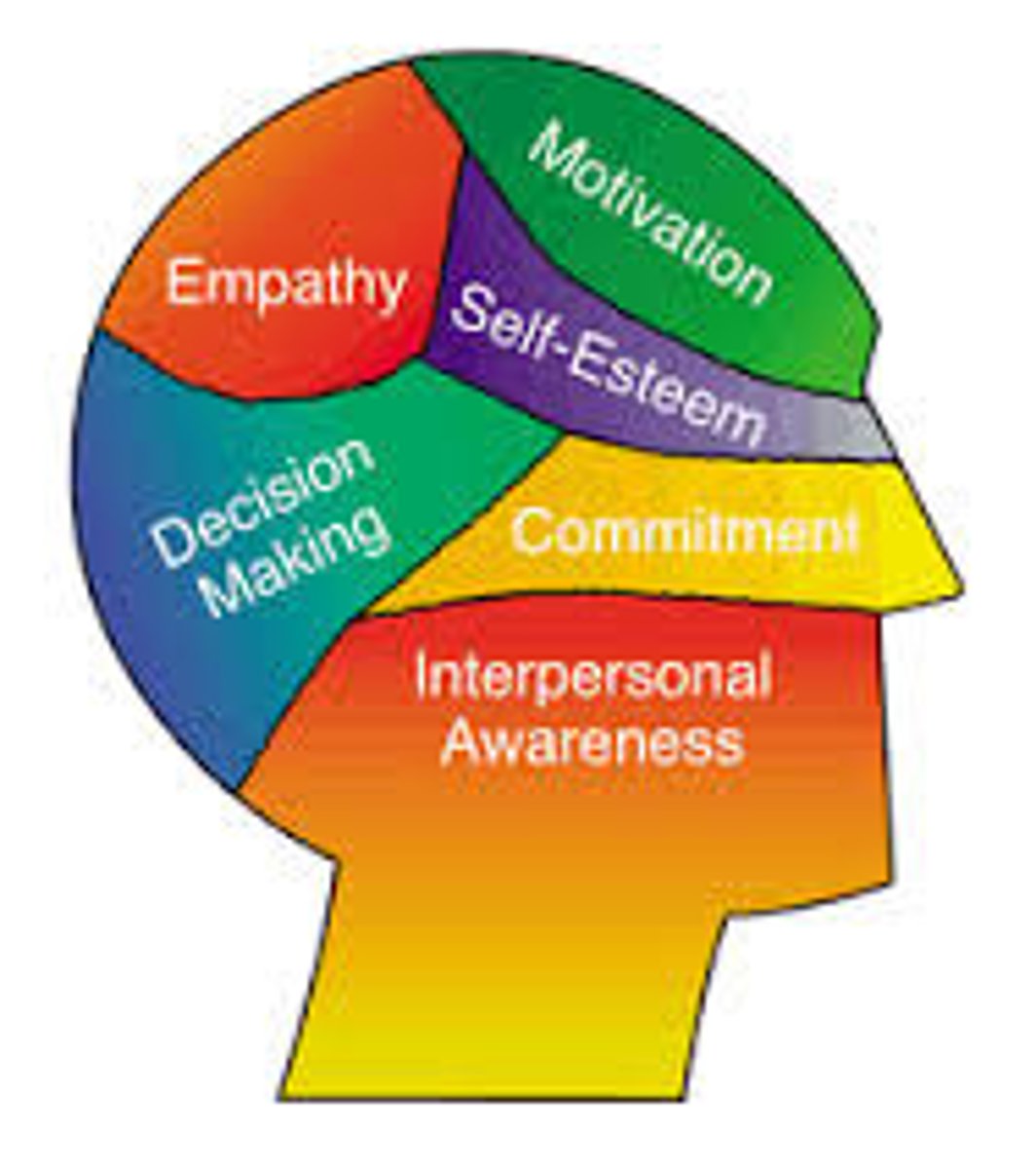 <p>the ability to perceive, understand, mange, and use emotions</p>