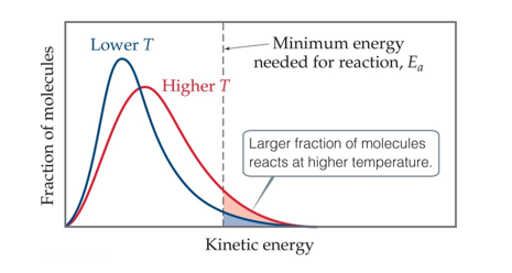 <p>Molecules have an average temperature, but each individual molecules has its own energy</p><p>At higher energies, more molecules possess the energy needed for the reaction to occur</p>