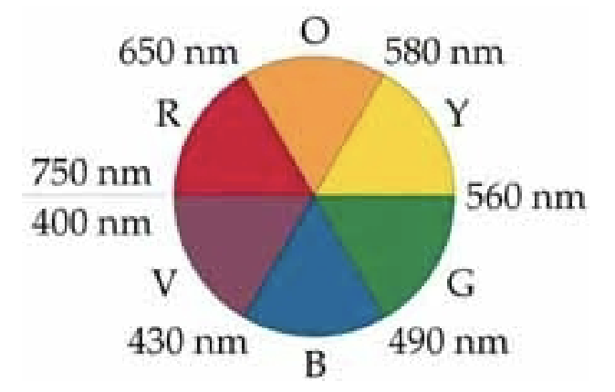 <p>Observed color is complementary to the color of the wavelength absorbed.</p>