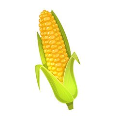 <p>Corn</p>