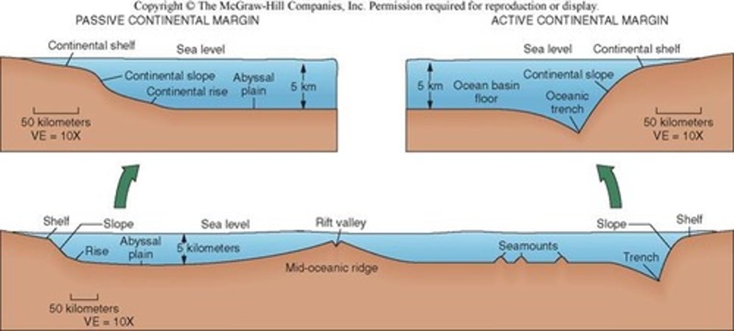 <p>left to right: passive margin, abyssal plain, divergent boundary, seamount, trench, active margin</p>