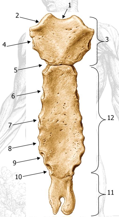 <p>2</p>