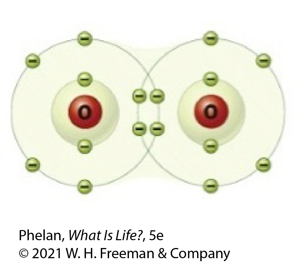 The O2 molecule pictured here shows two pairs of electrons shared between two oxygen atoms. This is an example of