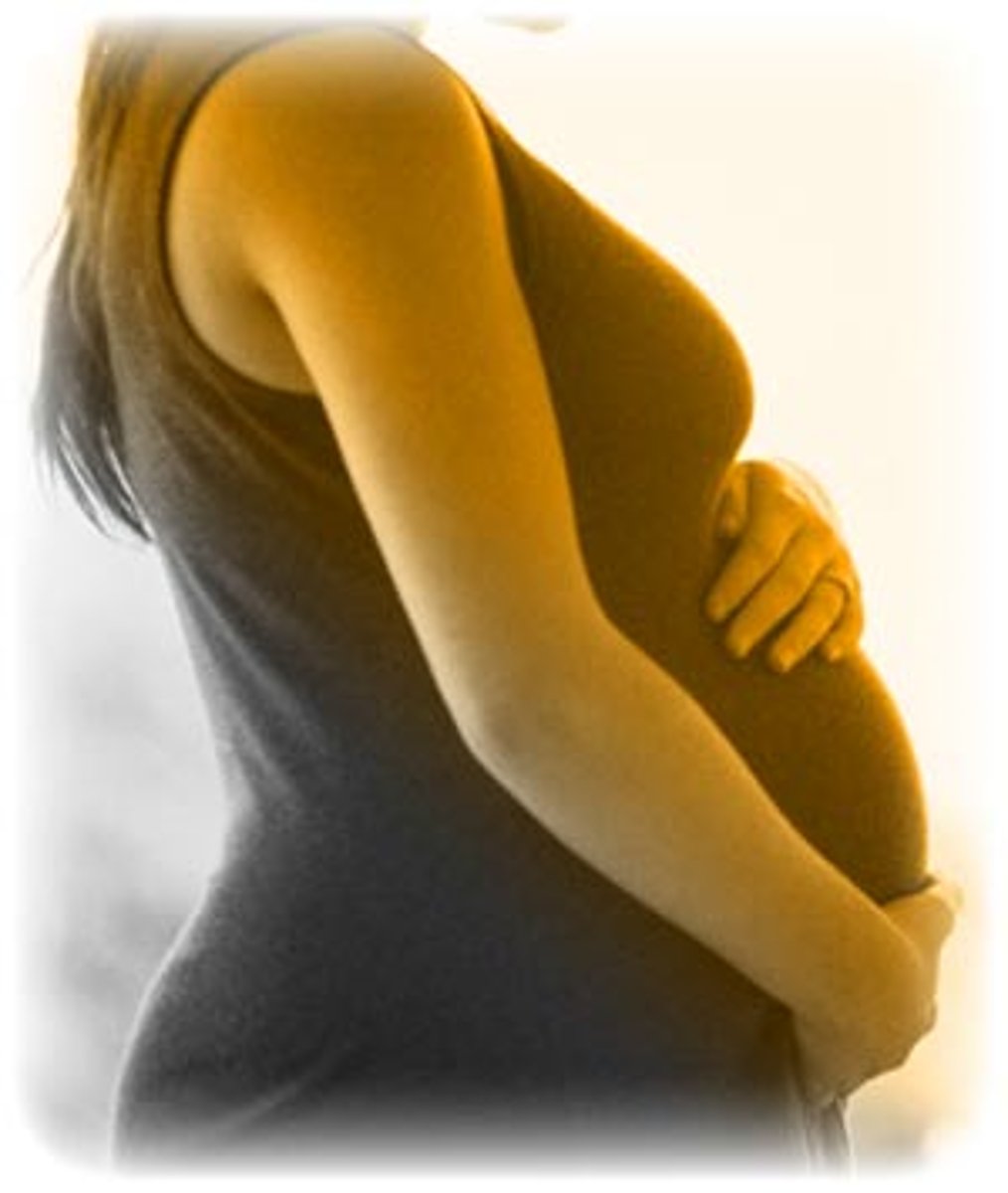 <p>Period of time between fertilization &amp; birth</p>
