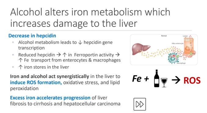 <p>liver fibrosis to cirrhosis and hepatocellular carcinoma</p>