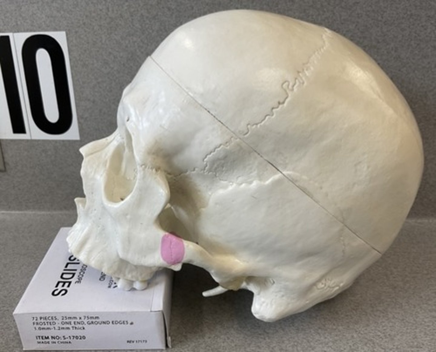 knowt flashcard image