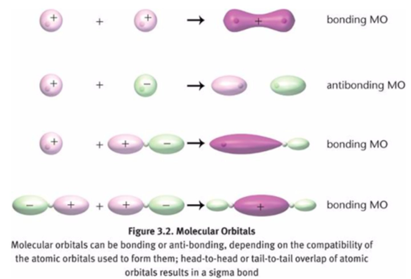 <p>-formed when two atomic orbitals combine</p><p>-Bonding orbitals: lower in energy (more stable)</p><p>-Antibonding orbitals: higher energy (less stable)</p>