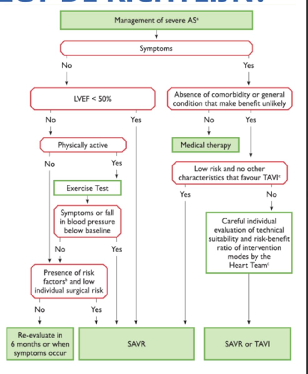 <p>een instructie om duidelijk te maken hoe je iets moet doen en wat wel en niet mag = het voorschrift</p>