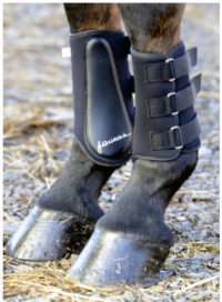 <p>what piece of tack does this image show?</p>