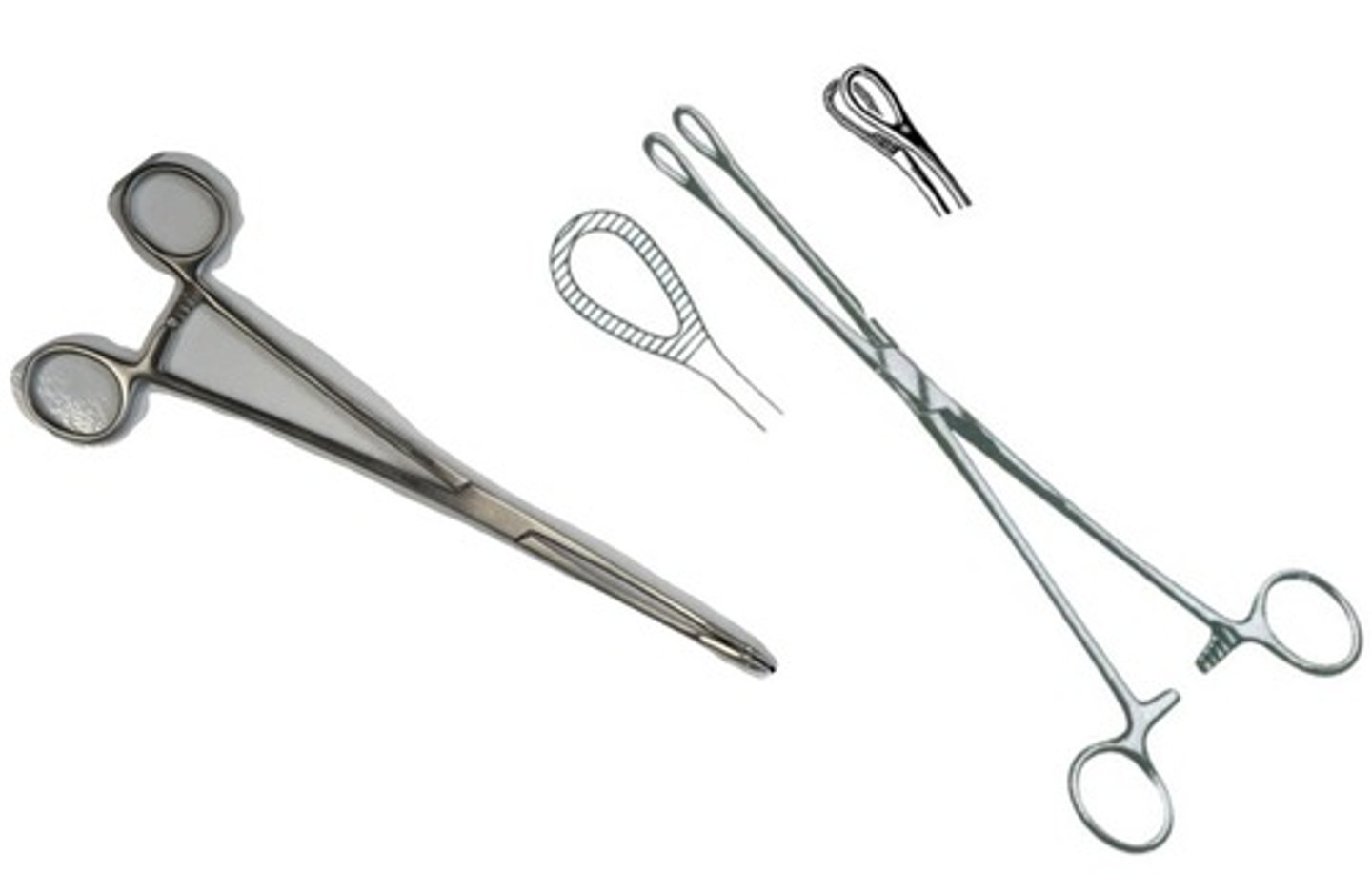 <p>Name this instrument. Spelling counts.</p>