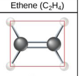 <p>When two carbon atoms form a double bond, it’s shape is…</p>