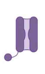 <p><span>This image shows a _______ channel</span></p>