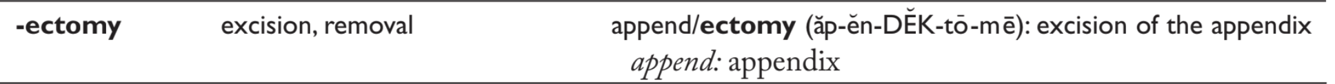 <p>Excision (of all or part)* of the colon</p><p>A. Appendectomy<br>B. Gastrectomy<br>C. Hysterectomy<br>D. Colectomy</p>