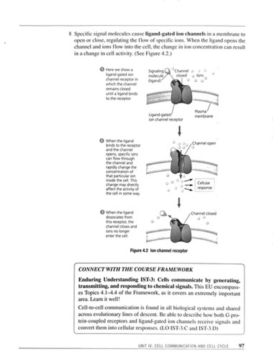 <p>Channels that open or close in response to ligands.</p>