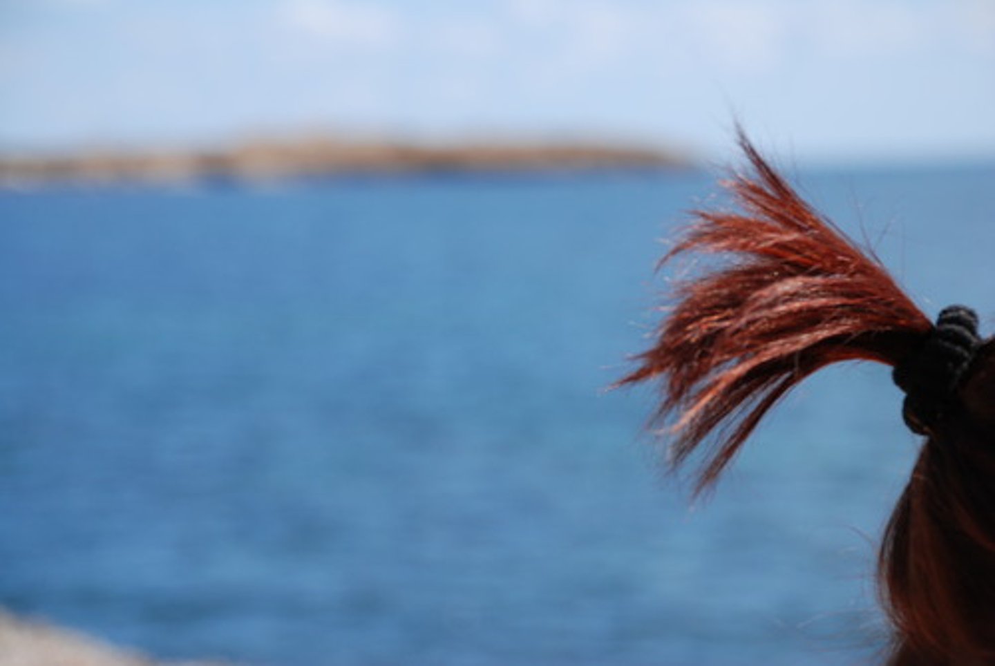<p>clumps of grass, hair, or feathers</p>