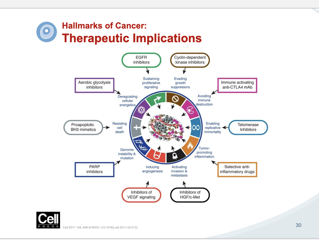 <p>the things not circles are the hallmarks of cancer and the things in shapes are drugs that fight that hallmark</p>