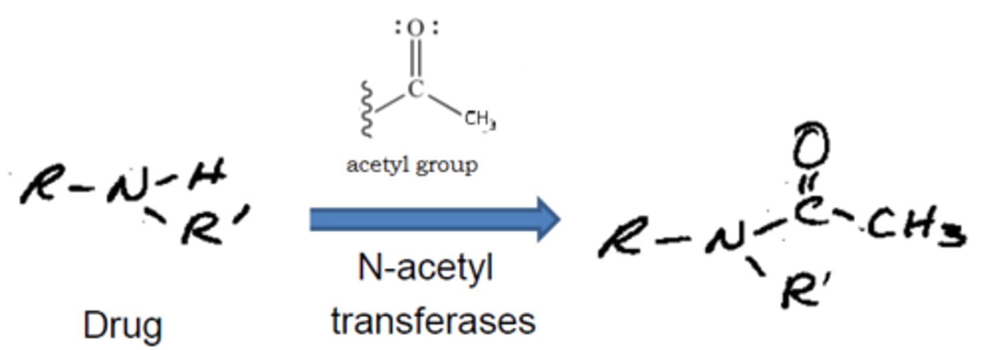 <p>primary aromatic or aliphatic amines</p>