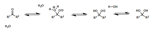 <p>hydrates or 1,1-diols</p>