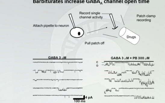 <p>Barbiturates increase GABA(A) channel open time</p>