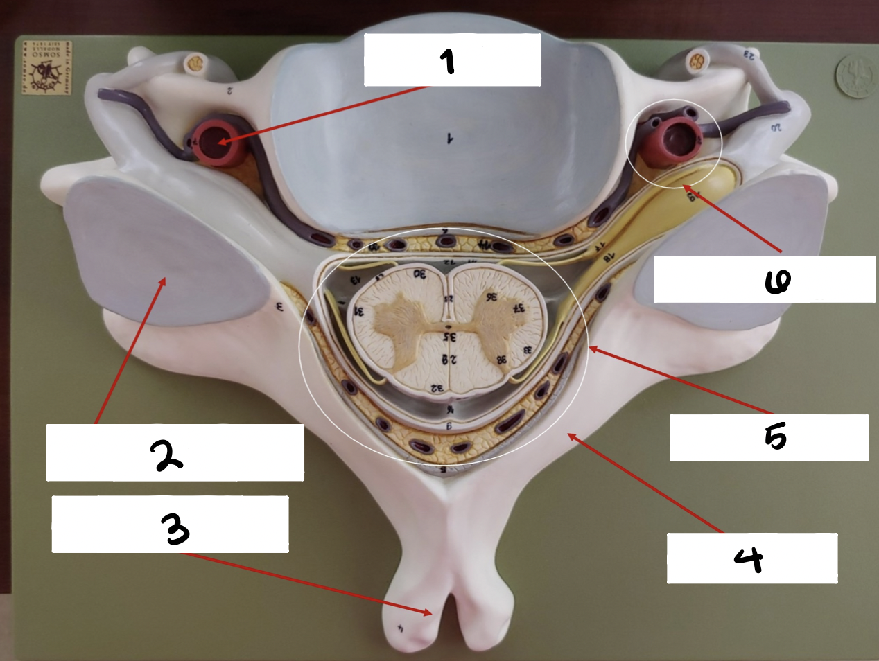 <p>what is 3 </p>