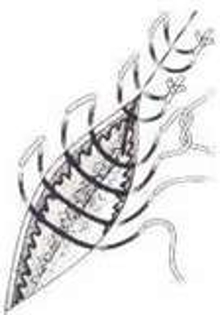 <p>What is the name of this suture pattern</p>