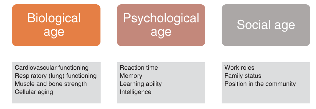 <p>biological age</p>