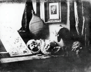 <p>Still Life in Studio</p>