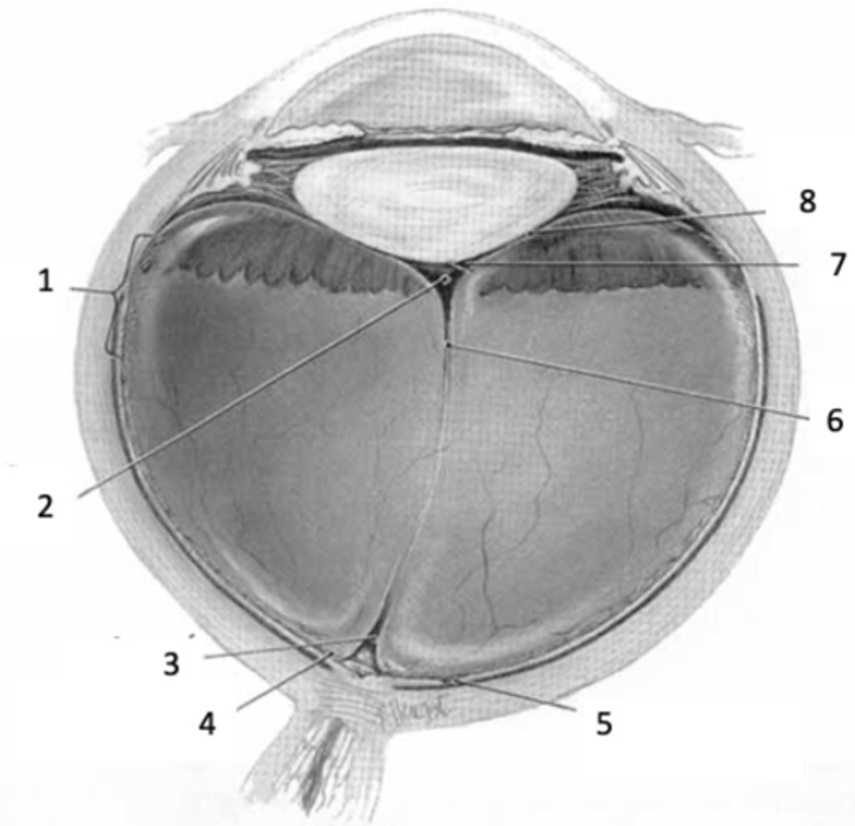 <p>#1</p>
