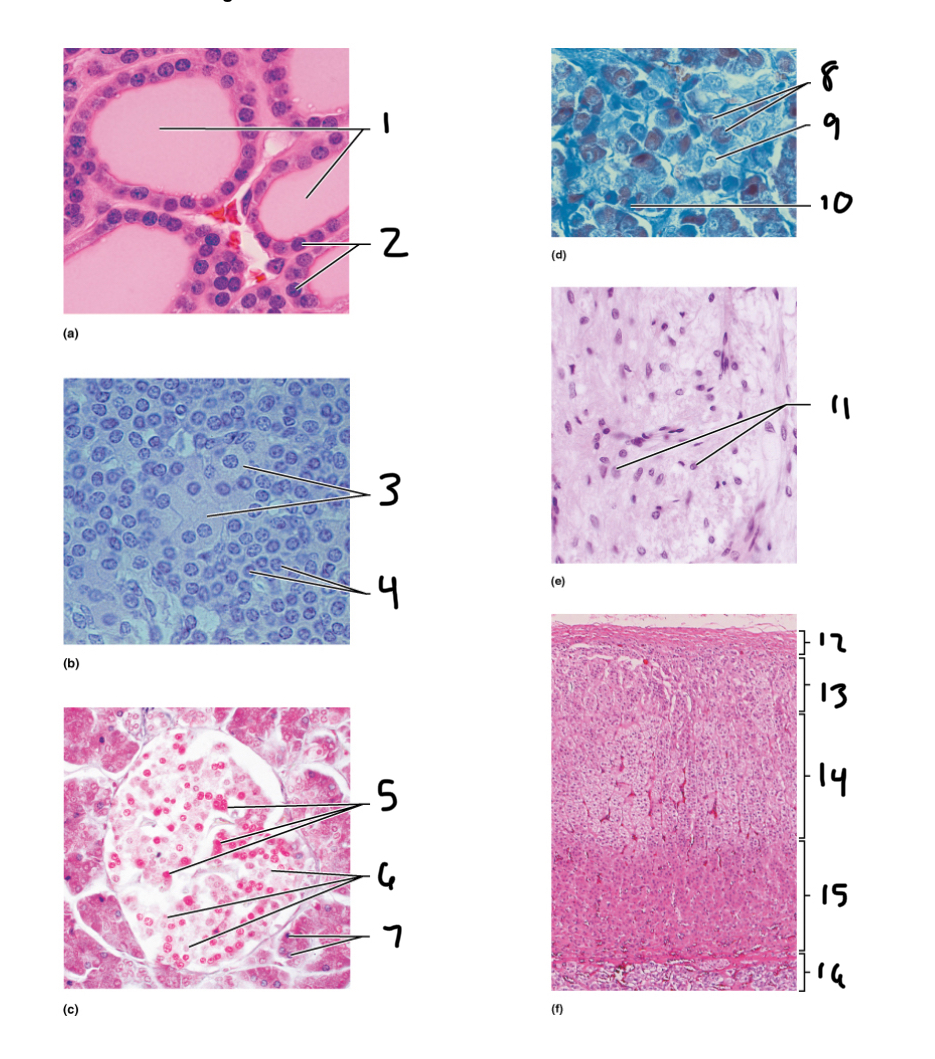<p>4</p>