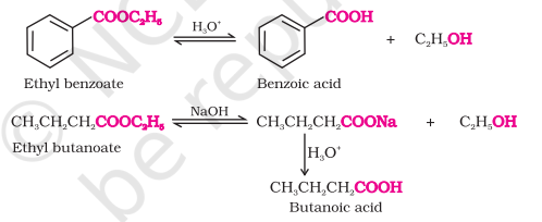 <ul><li><p>Acidic hydrolysis : Directly gives us carboxylic acids</p></li><li><p>Basic hydrolysis : Gives carboxylates that on acidification get converted to carboxylic acids</p></li></ul>