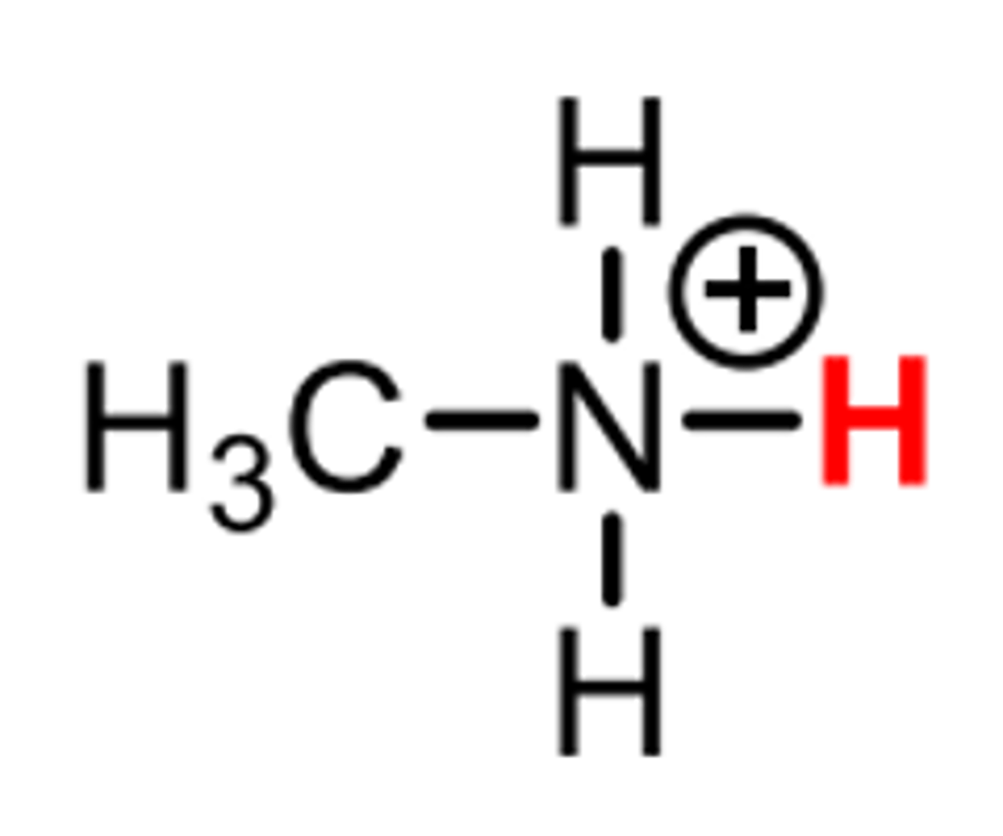 <p>protonated methylamine</p>