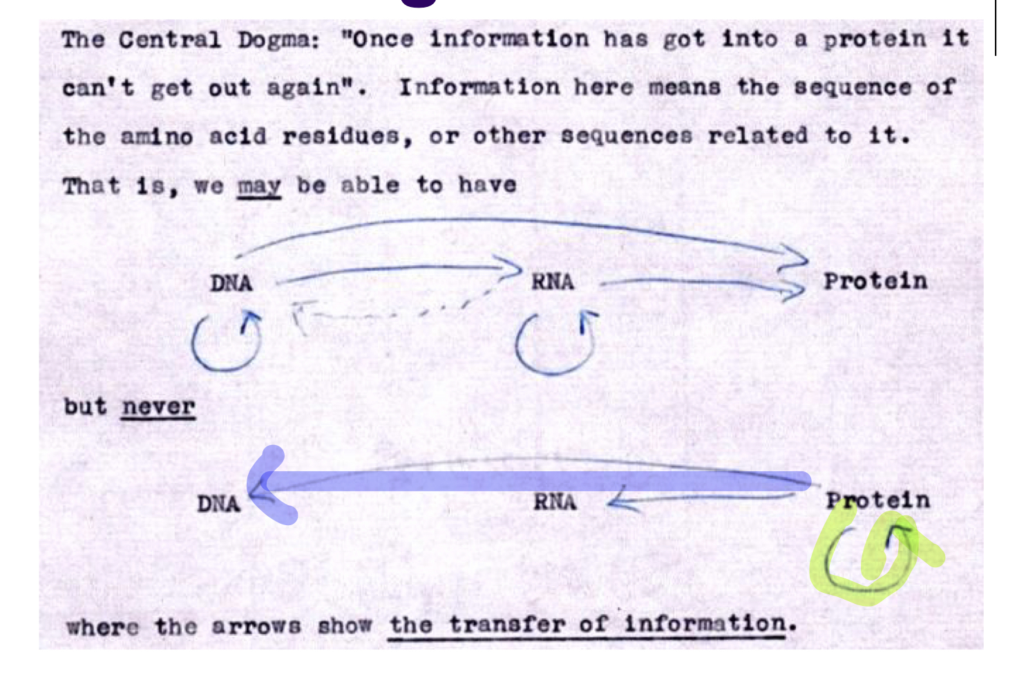 Central Dogma 