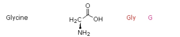 <p>Gly, G</p>