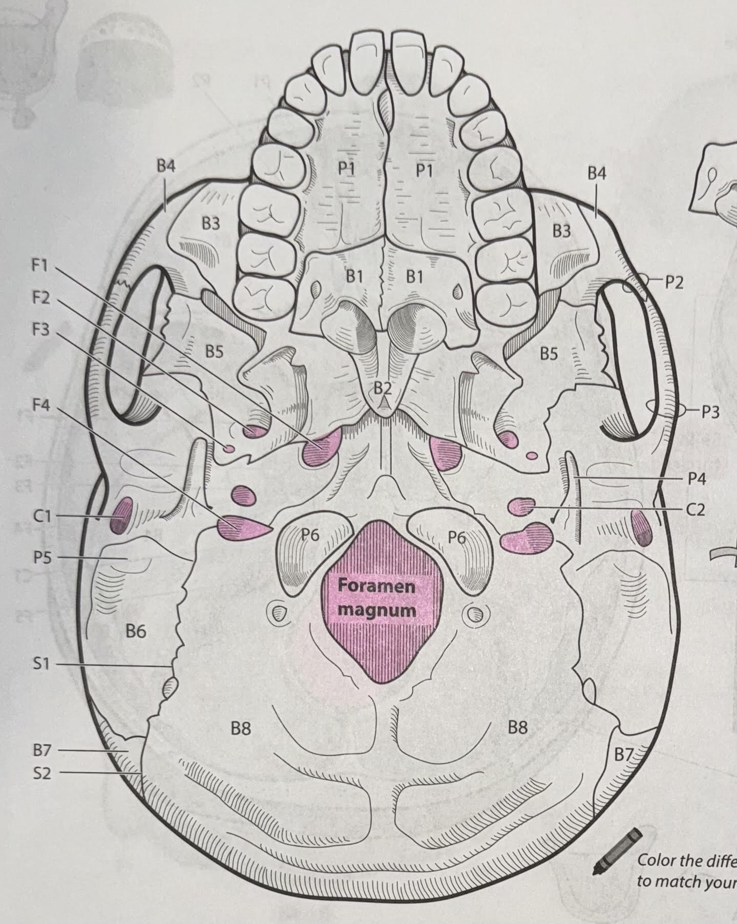 <p>B5</p>