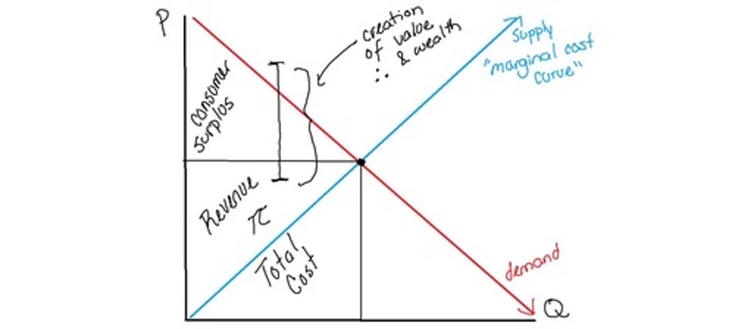 <p>Difference between what consumers pay and what they are willing to pay.</p>