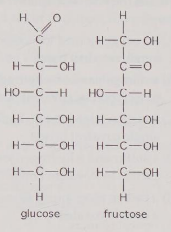 <p>Observe the structures of glucose and fructose in Figure 4.2. These two molecules are</p><p>A) geometric isotopes.</p><p>B) enantiomers.</p><p>C) geometric isomers.</p><p>D) structural isomers.</p><p>E) nonisotopic isomers.</p>