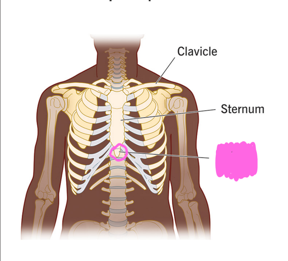 <p>What is this circled end?</p>